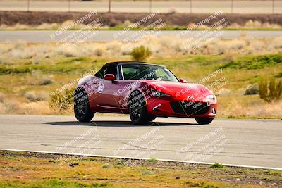 media/Feb-17-2024-Extreme Speed (Sat) [[f2f02d613c]]/Green Group/Session 3 (Turn 4)/